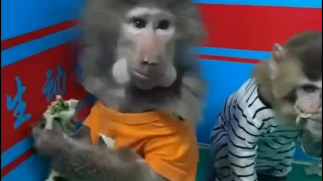 तूने खाना क्यो दिया साले अभी बताता हूं तुजे