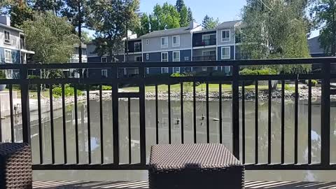 QUOTES FROM THE WORLD, VOL;1: 4/30/22