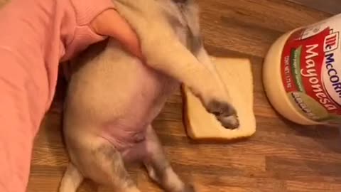 I'm hungry