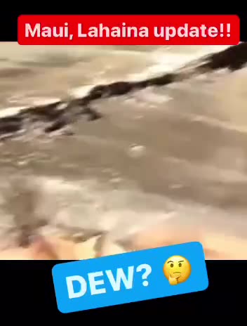 Lahaina DEW Update.