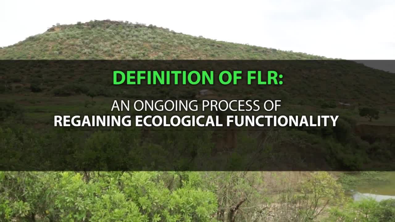 Forest Landscape Restoration (FLR) in Ethiopia