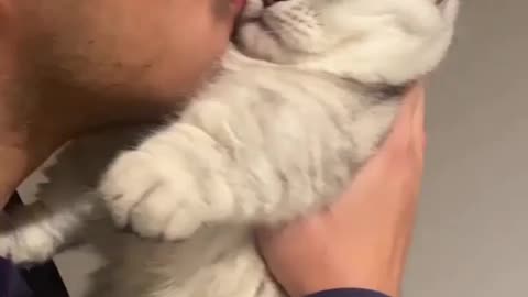 Kissing With cat l adorable Love video with Cat