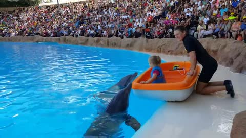 Girl and dolphins 🐟