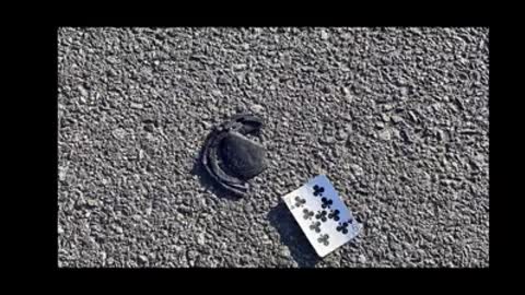 Pervywood 5 The Pedo Punisher