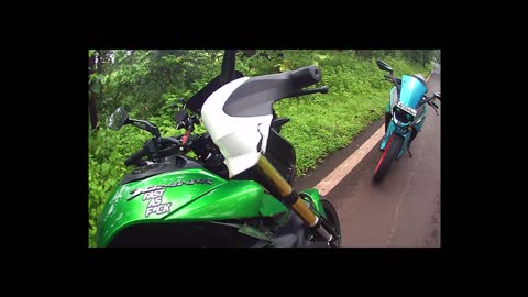 Cow Crossing Road Hits Motorcyclist