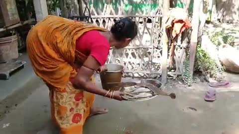 River FOLI FISH cooking recipe with fresh MULO & BEGUN by santali TRIBE couple-15