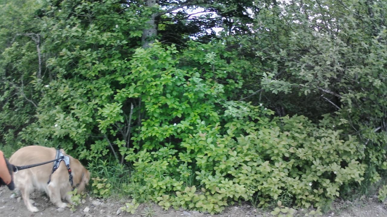 May 26th, 51º