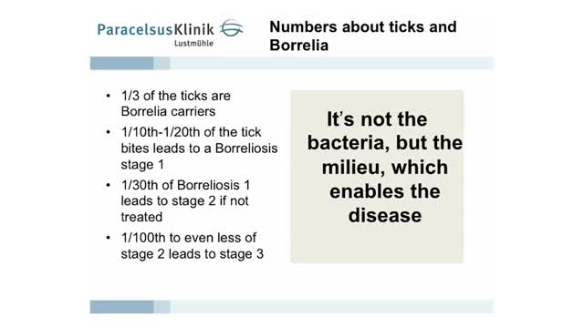 Metrics of Tick Bites and Borrelia