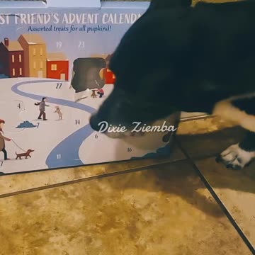 High paws for day 5 of Pepper's pup-tastic Christmas countdown! 🐾🎄