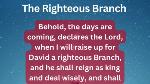 The Righteous Branch: Jesus Fulfills Prophecy