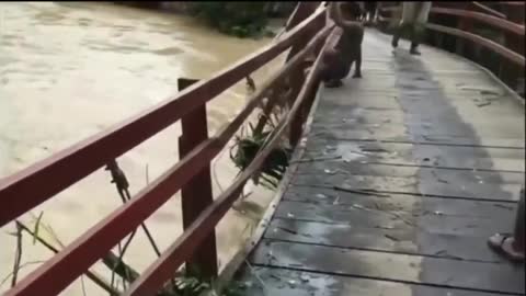 unexpected ... this bridge is strong💪