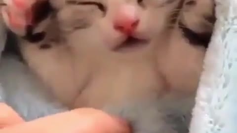 A little happiness
