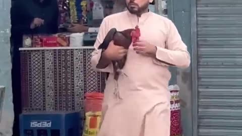 Chicken sell funny