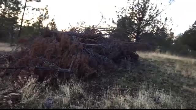 C4EVER Ranch 2016 burn piles