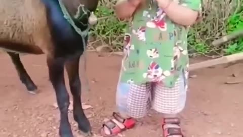 cute kids with cute animals