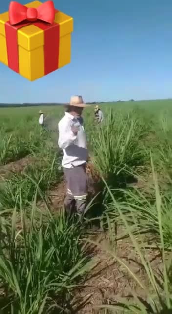 mulheres lindas vaibtrabalhar