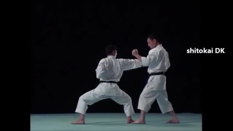 Basaidai Bunkai