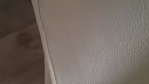 Loki things moms home