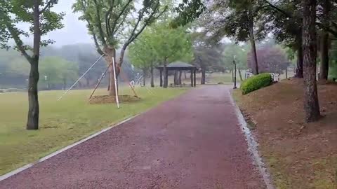 비오는 날 아침의 공원 (Rainy Morning Park)