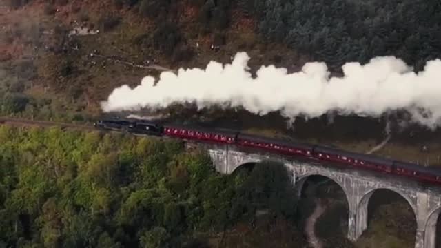 This is the "Hogwarts" train. Are there any (Gryffindors)?