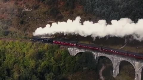 This is the "Hogwarts" train. Are there any (Gryffindors)?