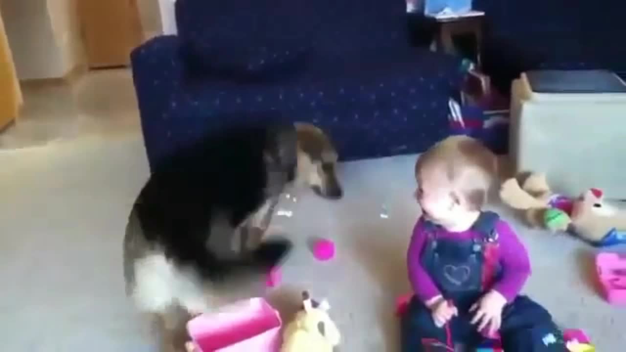 The kid laughs when the dog catches....