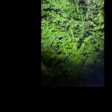 Mini Powerful Led Flashlight XHP50 Built in Battery 3 Modes