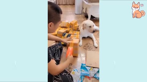 Baby Dog videos