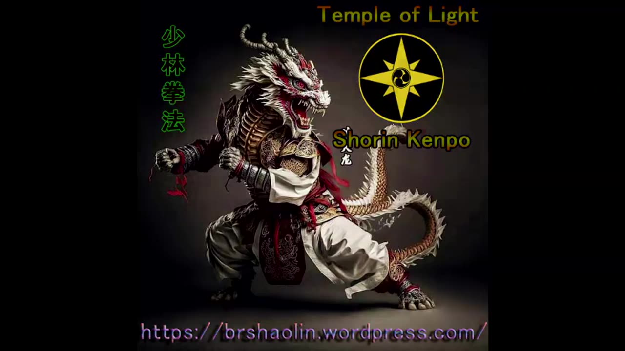 Kenpo Empty Hands - demo III