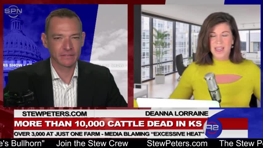 3000 Cows Drop Dead In SW Kansas, Raises National Questions