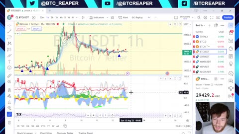 Nightly TA -EP308 8/12/23