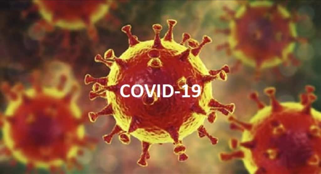 Corona virus. La pandemia e una falsa pandemia? I Cristiani quelli veri sono conto alla scienza?