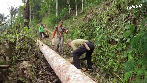 Incredible Wood Transportation