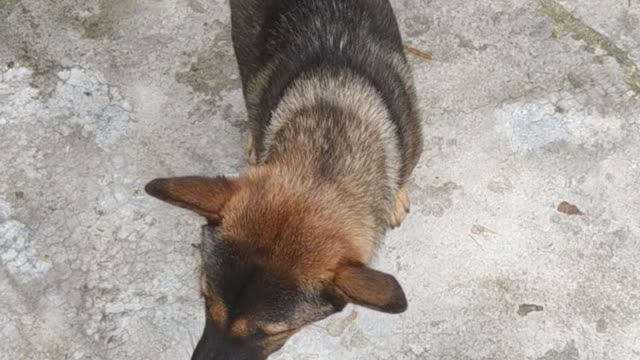 Chào buổi sáng vừa ngủ dậy!