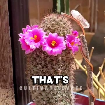 Electroculture Can Harvest the Earth's Atmospheric Energy - AMAZING!