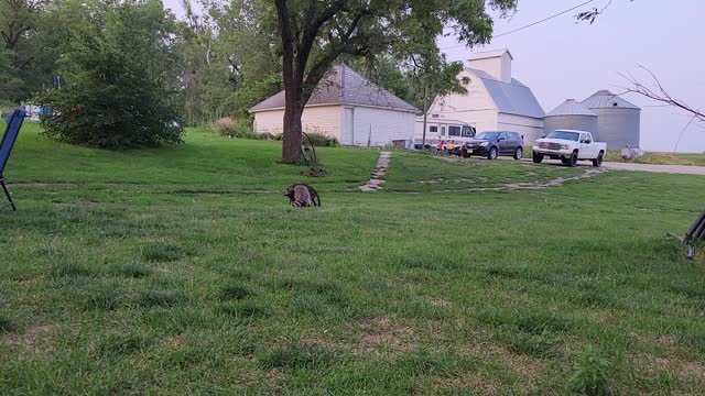 Jerry and Mara the Saga Continues