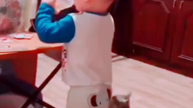 Cat wants to play