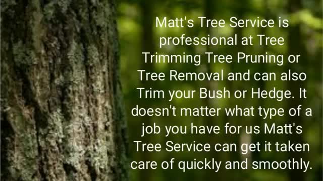 Tree Service