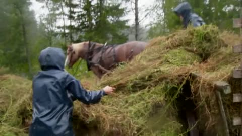 Farmen Norge S12E25