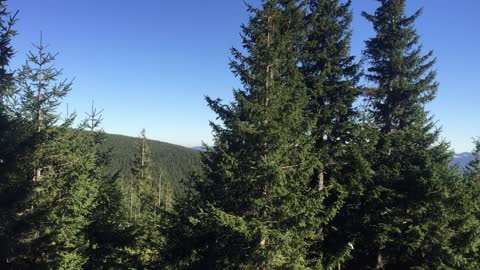 Hoverla Mountain View