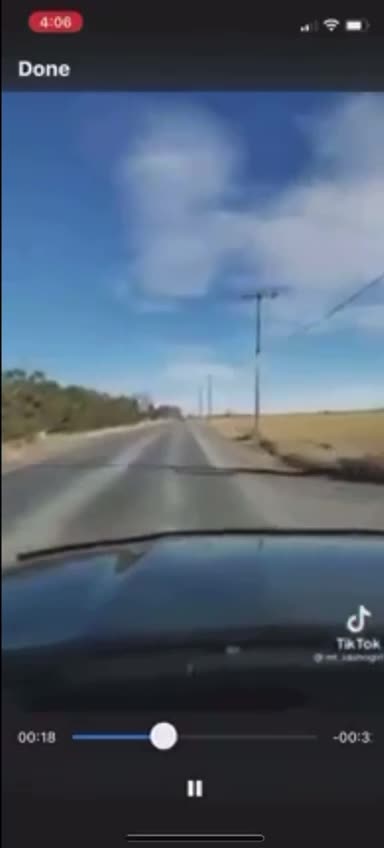 Asking Siri For The Truth About The Biden Family