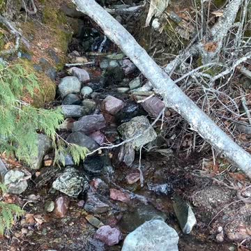 Montana Big Sky Country