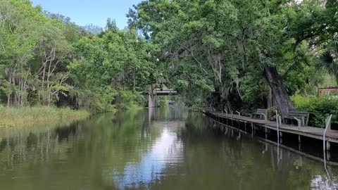 Relaxing Boat Ride in Central Florida