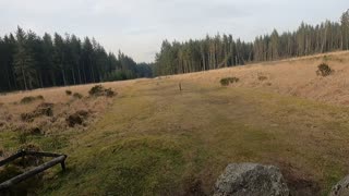 A stone circle in a woodland. Dartmoor. Vlog