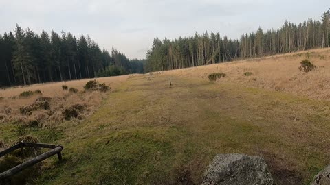 A stone circle in a woodland. Dartmoor. Vlog