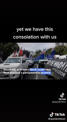 Katniss to President Snow