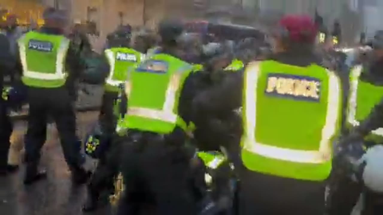 violent scenes on the streets of London as police lose control of the pro-Palestine march