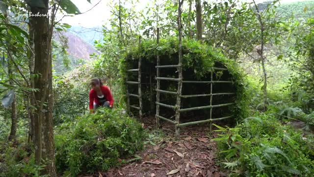 Buiding_survival_shelter_in_the_forest,_Bushcraft_cooking_delicious_|_Free_bushcraft.