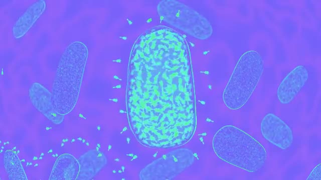 Virus Destroying Bacteria
