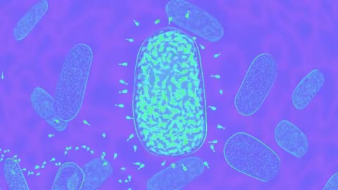 Virus Destroying Bacteria